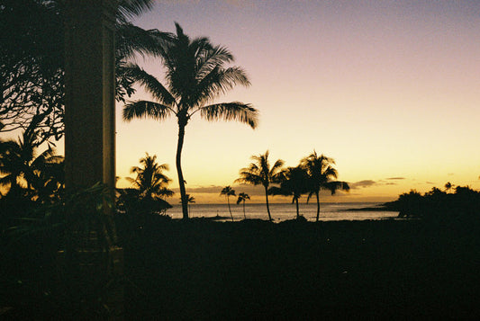 Aloha Beach House Hillside Hideaway