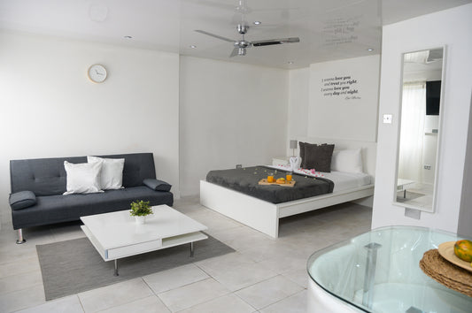 Newly Refurbed Studio Apartment! No 1