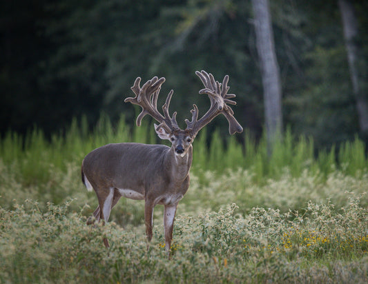 Private Ranch Experience plus Hunting Package