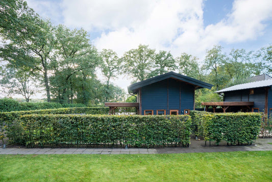 (10) Luxe Wellness Bungalow 4-persoons met Jacuzzi, Sauna, IJsbad en BBQ