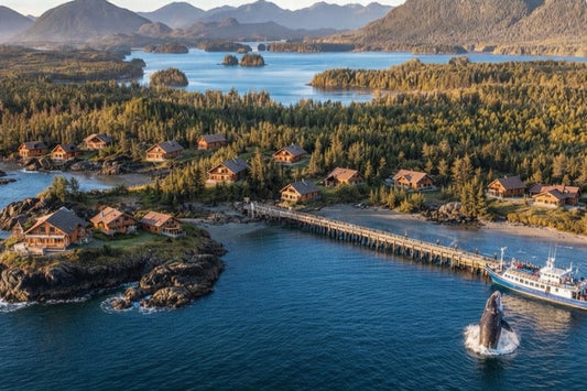 Humpback Bay