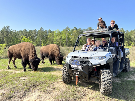 Private Ranch Experience - Unforgettable Memories with Your Closest Circle