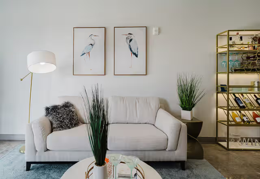 *2525**Fully Furnished & Designed Apartment